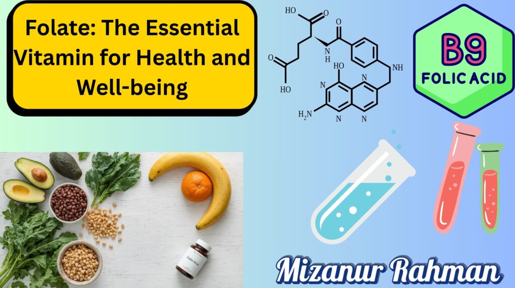 Assortment of folate-rich foods including spinach, avocado, oranges, lentils, chickpeas, and whole grain bread with folic acid supplement.